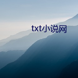 txt小说网