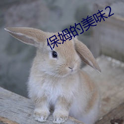保姆的美味2