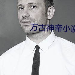 萬古神帝小說