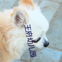 王府幼儿园 ��袭衣兼食）