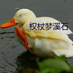 权杖(zhàng)梦(mèng)溪石