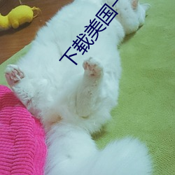 下载美国一级大黄片儿
