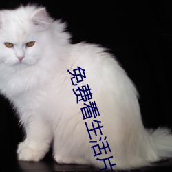 免(免)费看生活片