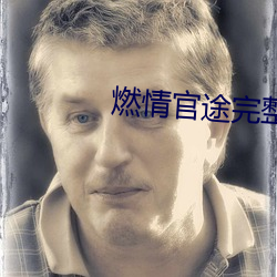 燃情官途完整版全文阅读