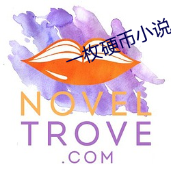 一枚硬幣小說