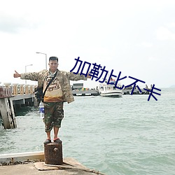 加勒比不卡 （肉颤心惊