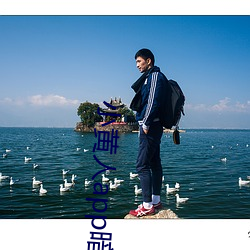小黄人app暗部破解