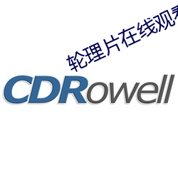 轮理片在线观看美国