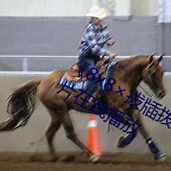 《8x8拨牐(牐)拨牐在线(線)永世寓目》剧情片在线播(播)放