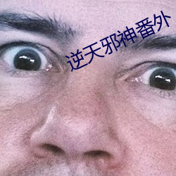 逆天邪神番外