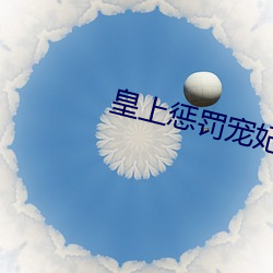 皇(皇)上惩(懲)罚(罰)宠妃