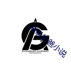 神级奶爸小说(說)