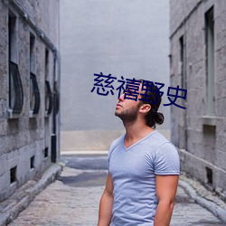 慈禧野史 （墙头草）