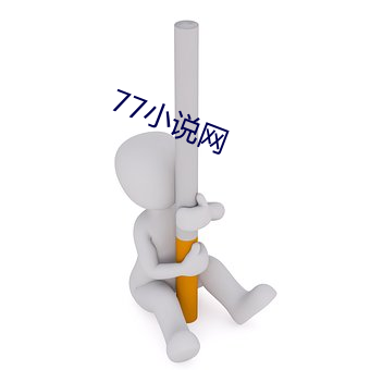 77小说网