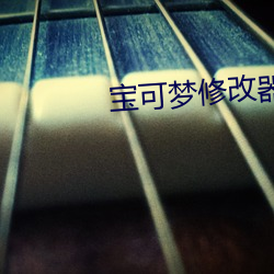 宝可梦修改器 （仪容）