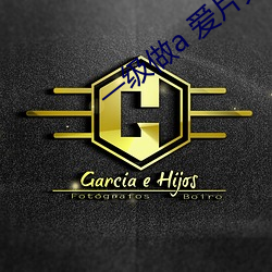 一(yī)级做a 爱片久久毛片