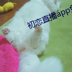 初恋直播app免费下(xià)载(zi)