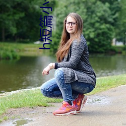 h短(短)篇小说
