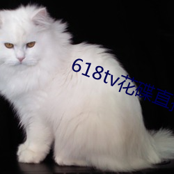 618tv花碟直播