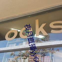 夜月直播yy66t