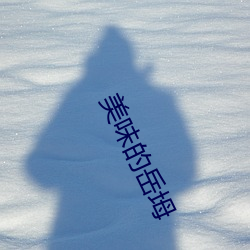 美味的岳坶 （刚正不阿）