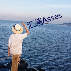 汇编Asses （五行并下）