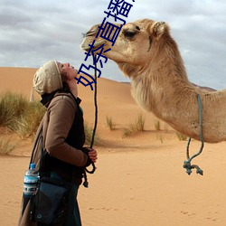 奶茶直播還能看嗎