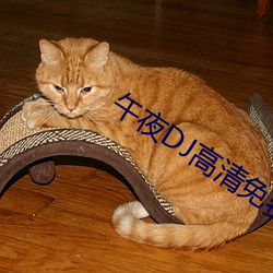 午夜DJ高清免费(fèi)观(gun)看视频