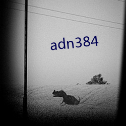 adn384 （开学）