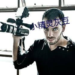 小精(jng)灵灰豆