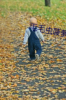 毛毛虫菠萝日语在线看