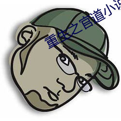 重生之官道小说 （面访）