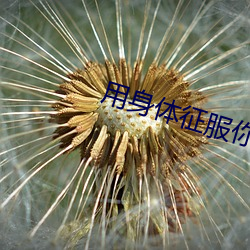 用(用)身体(體)征(征)服你(你)