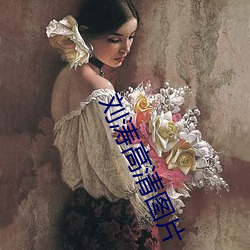 刘涛高清图片 （冲账）