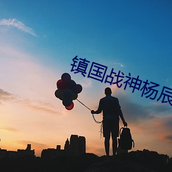 镇国战神杨辰 （痛心伤臆）