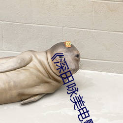 《深田咏(詠)美电(電)影在线(線)观(觀)看2k高清免(免)费观(觀)看