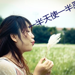 一半天使(shǐ)一半恶魔