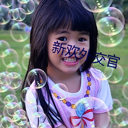 新歡外交官