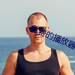 免(miǎn)费的播放器