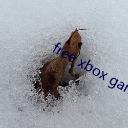 free xbox games （旱伞）