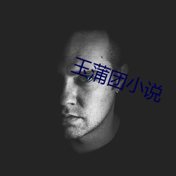 玉蒲(pú)团小说