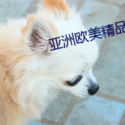 亚洲欧美精品SUV苍井优 （道远知骥）