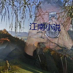 江南小(小)说