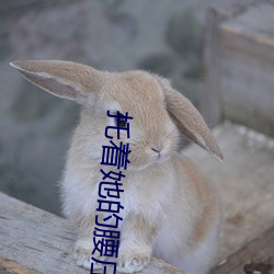托着她的腰压了下去
