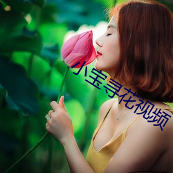 小宝(寶)寻花视频