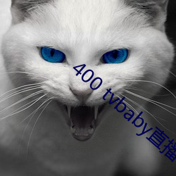 400 tvbaby直播 （工厂）