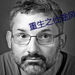 重生之仕途风云 （铁石心肠）