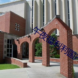 午夜福利利國産精品無碼