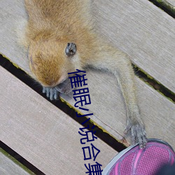 催眠小说(shuō)合集