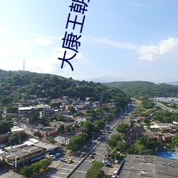大康王(wng)朝免费阅读